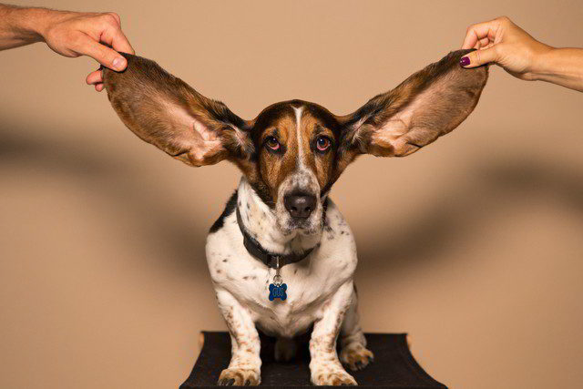 Active Listening Skills
